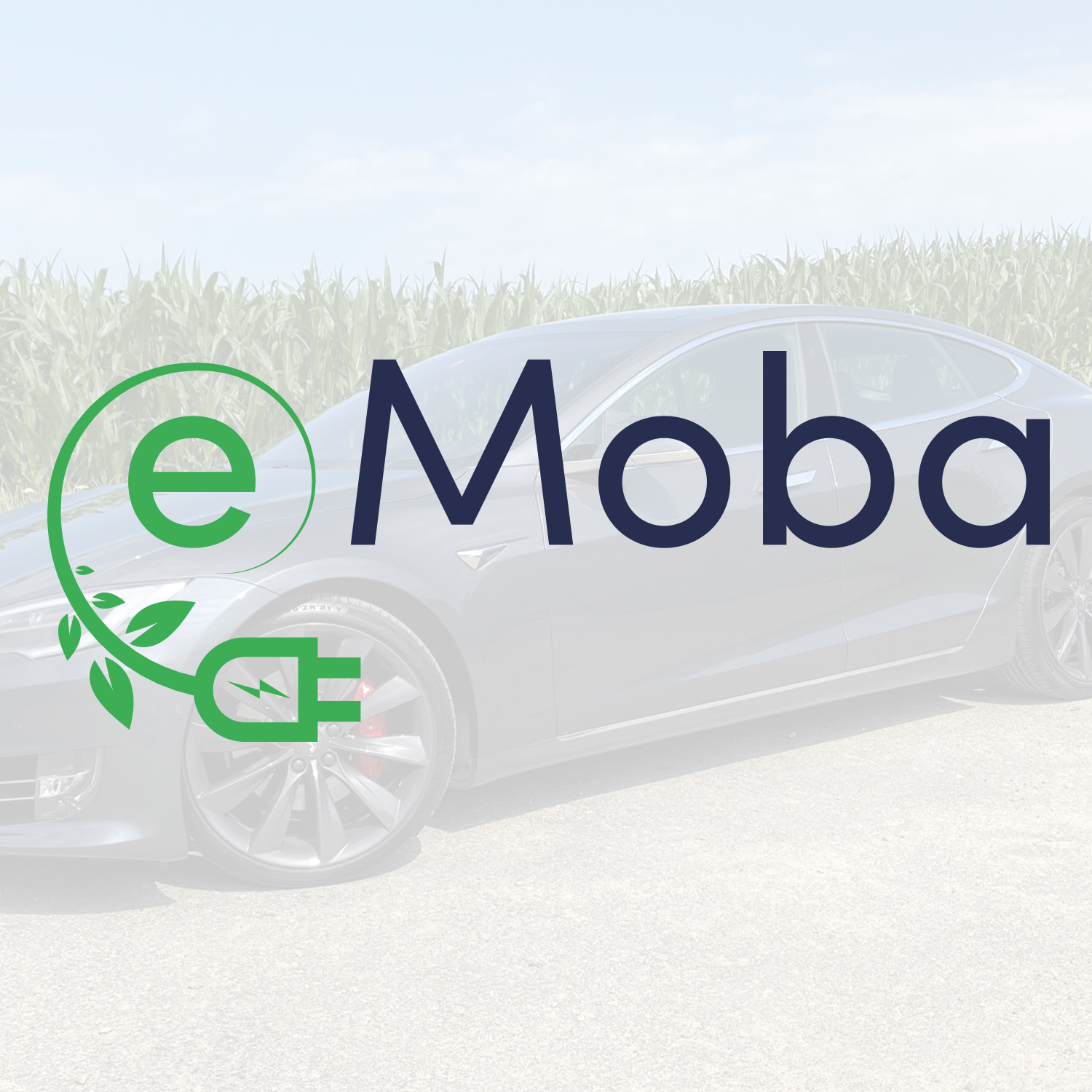Tesla Model S Scheiben tönen - eMoba